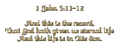 1John 5:11 